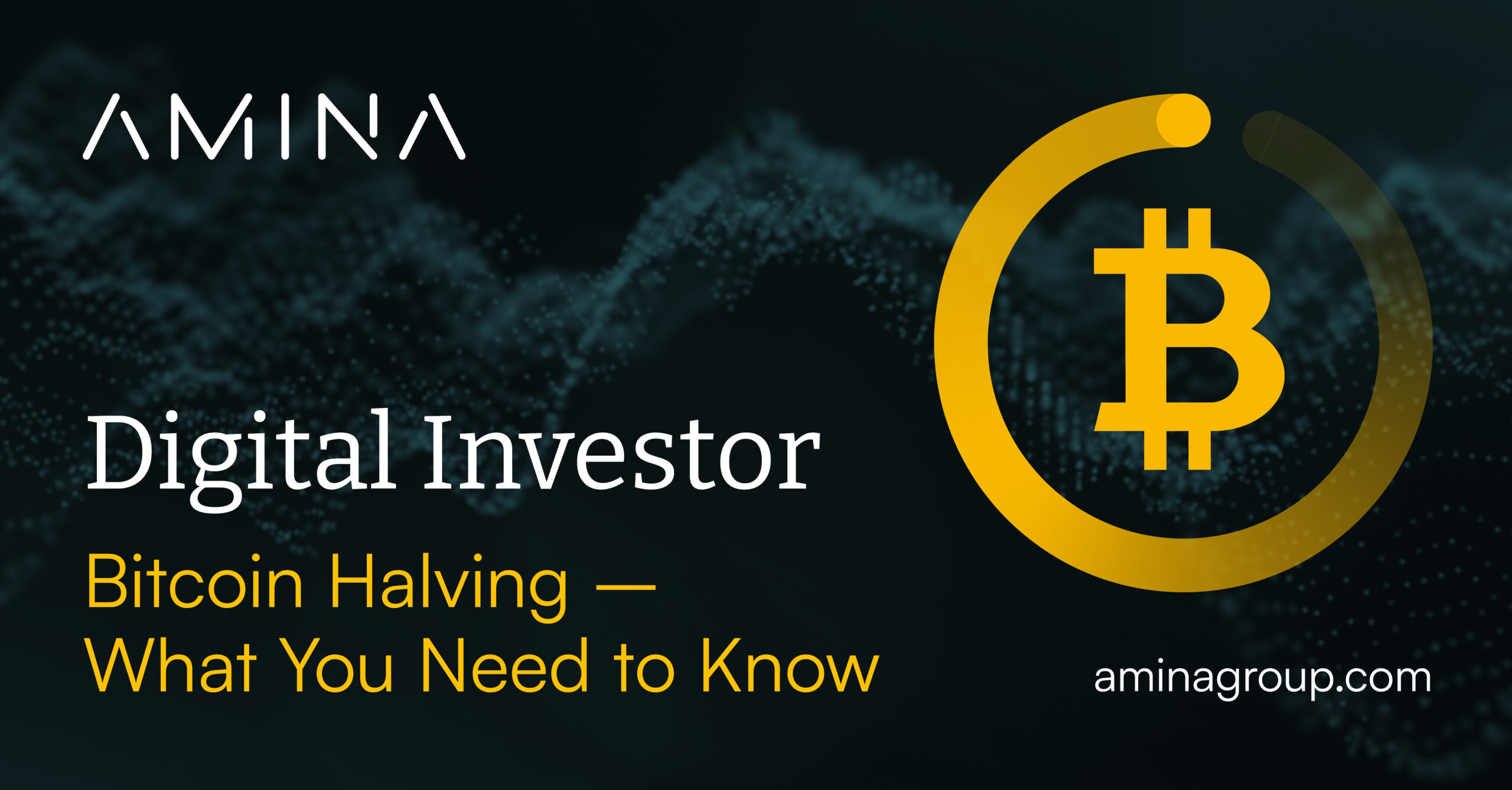 Bitcoin Halving - What you need to know
