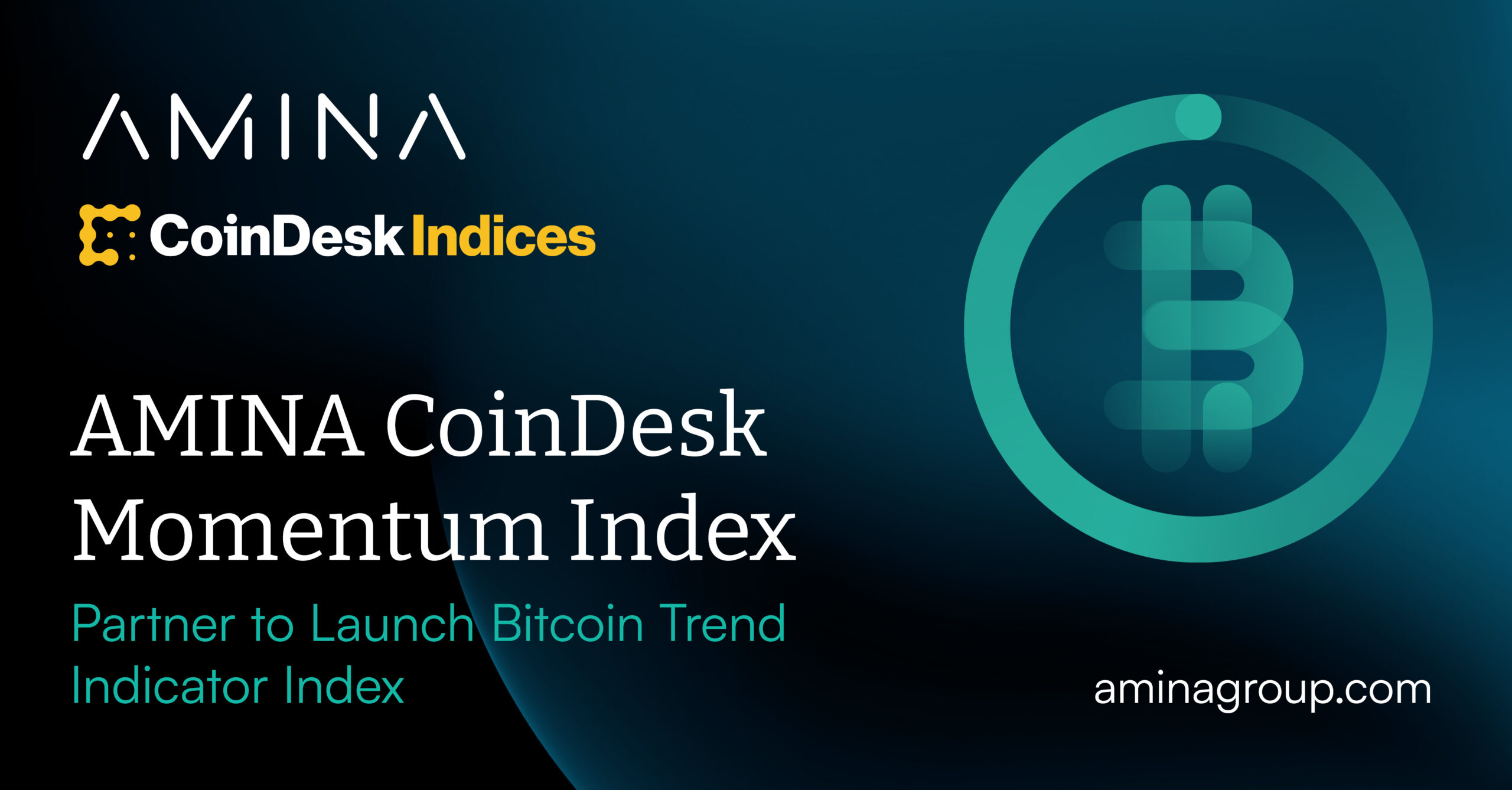 AMINA CoinDesk Index