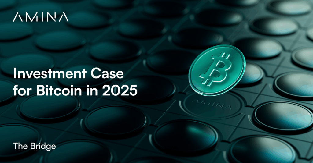 Investment Case for Bitcoin in 2025